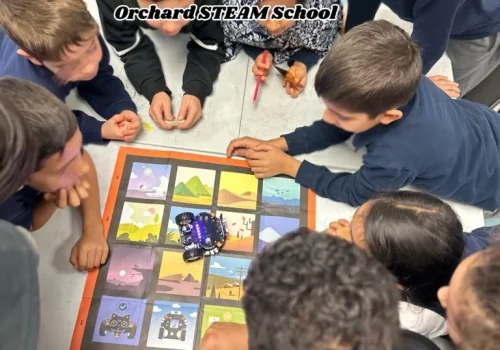 IMG_6438-768×1024 IMG_6438-768x1024